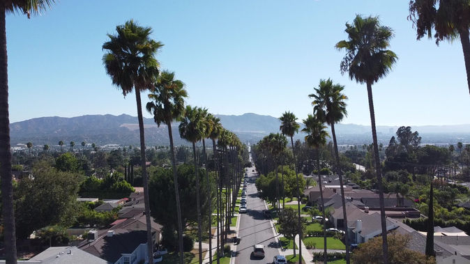Grandview palms